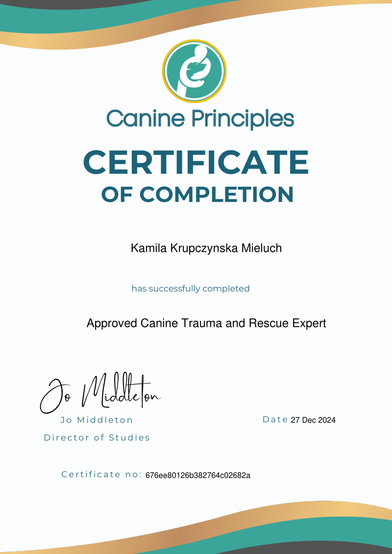 Certificate of completion of the Approved Canine Trauma and Rescue Expert programme